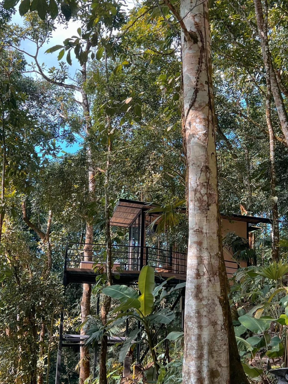 Rincon De La Sierra Minca Hotel Ngoại thất bức ảnh