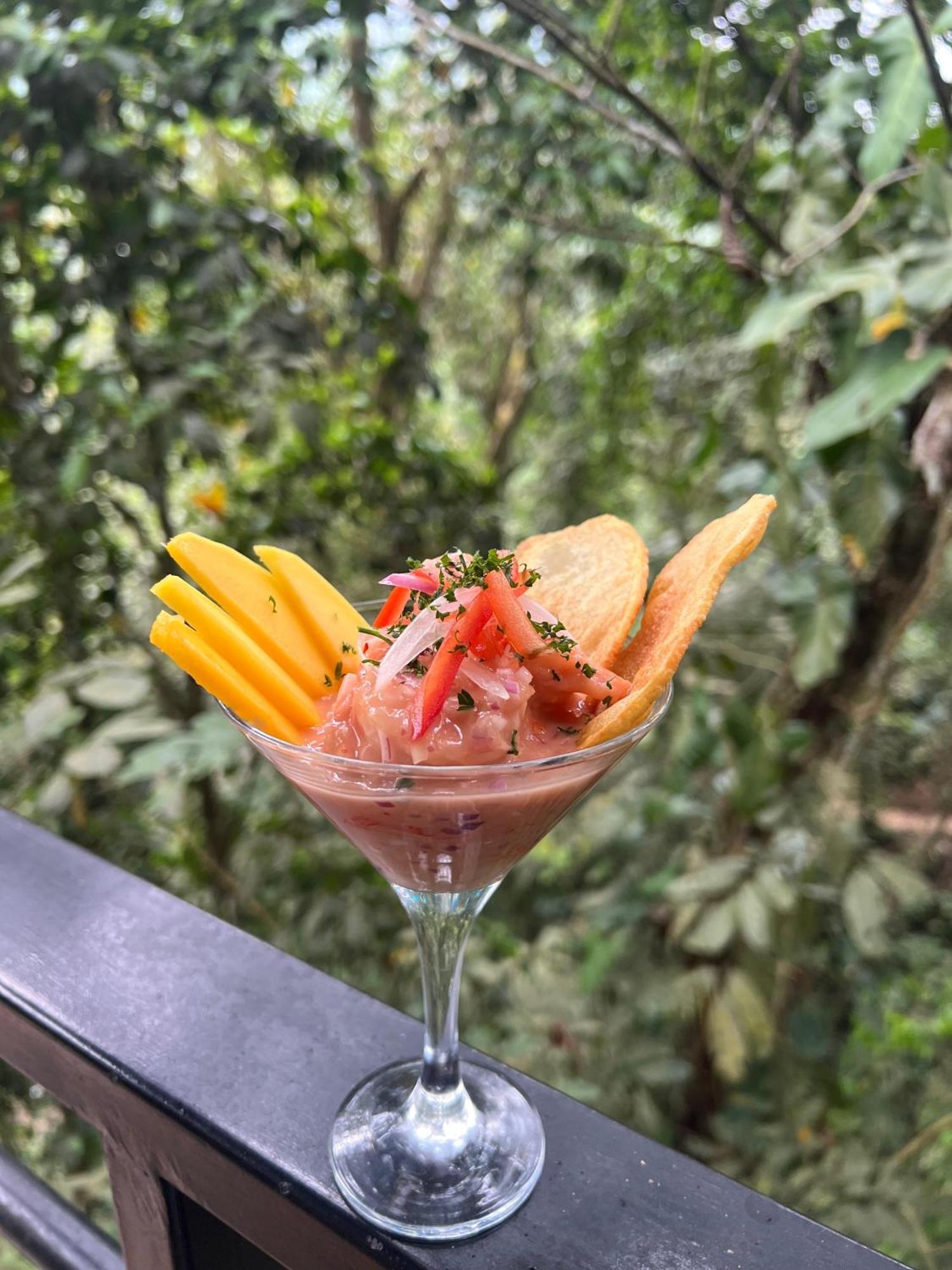 Rincon De La Sierra Minca Hotel Ngoại thất bức ảnh