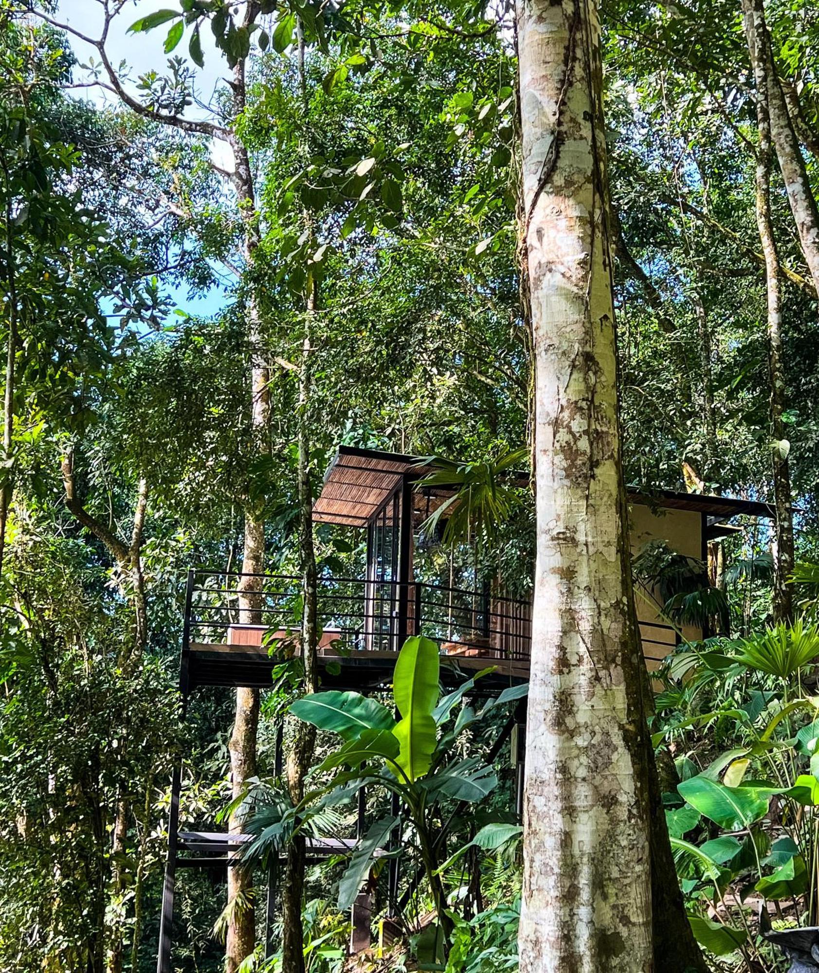 Rincon De La Sierra Minca Hotel Ngoại thất bức ảnh